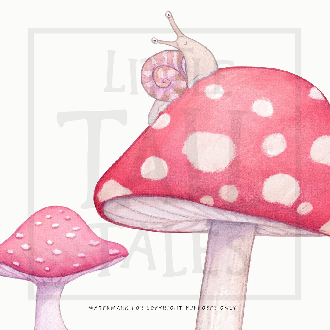 close up of Toadstool