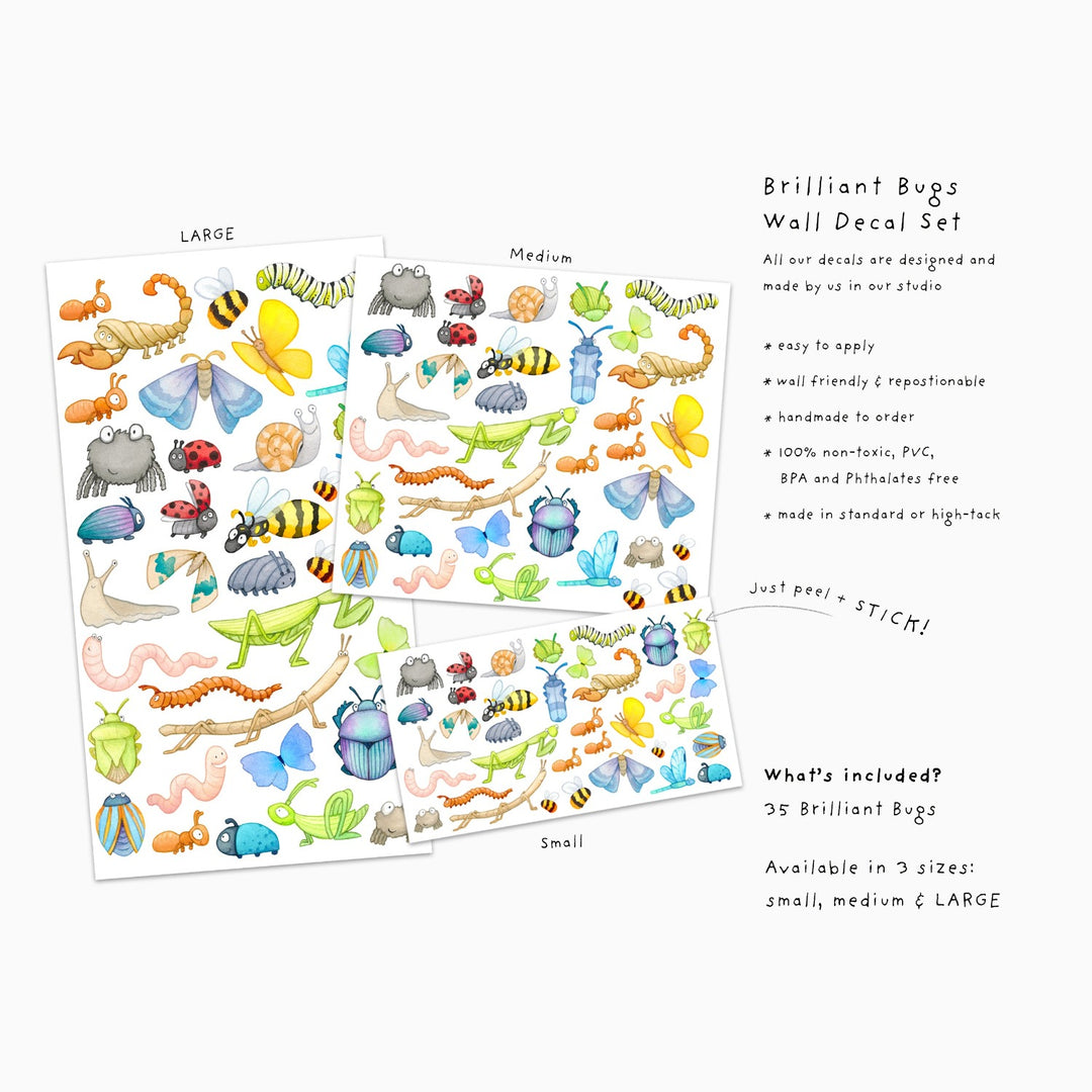 Brilliant Bug Wall decals set information from little tall tales