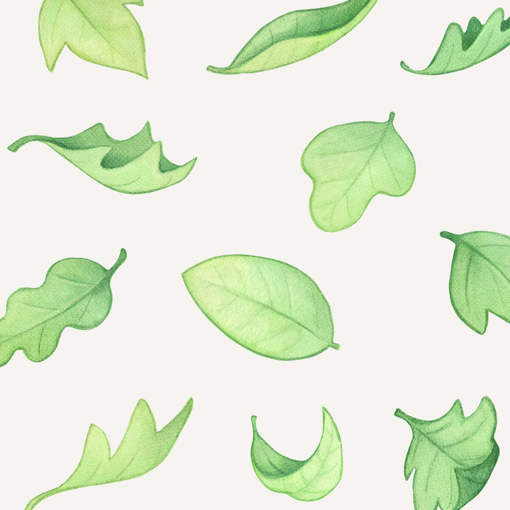 Green leaf wall decals, hand paint, close up